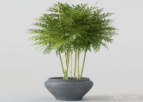 C4D景观3D竹子盆景