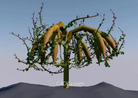 C4D结合Octane渲染制作沙漠荒野茁壮成长植物
