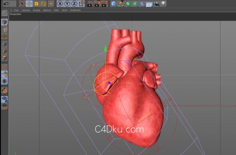 c4d模擬製作人體主要器官心臟建模案例