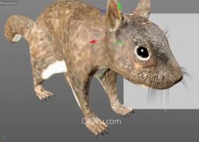 C4D 案例创作动物逼真毛发模拟效果视频素材