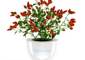 CINEMA4D制作三维立体漂亮的红色花朵花草朝天椒盆栽C4D/MAX模型