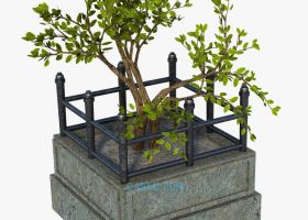 3DSMAX制作三维绿色植物树木fbx/obj/C4D格式模型